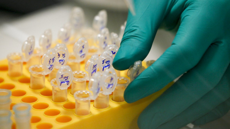 Израильские ученые нашли ахиллесову пяту раковых клеток